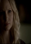 VampireDiariesWorld-dot-org_4x14DownTheRabbitHole1533.jpg