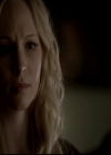 VampireDiariesWorld-dot-org_4x14DownTheRabbitHole1539.jpg