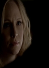 VampireDiariesWorld-dot-org_4x14DownTheRabbitHole1555.jpg