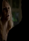 VampireDiariesWorld-dot-org_4x14DownTheRabbitHole1561.jpg