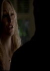 VampireDiariesWorld-dot-org_4x14DownTheRabbitHole1562.jpg