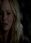 VampireDiariesWorld-dot-org_4x14DownTheRabbitHole1721.jpg