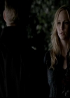 VampireDiariesWorld-dot-org_4x14DownTheRabbitHole2187.jpg