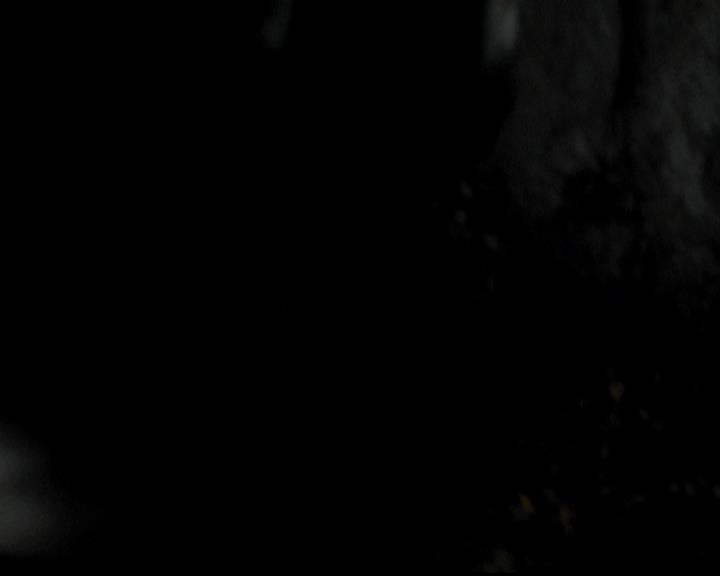 VampireDiariesWorld-dot-org_4x15StandByMe1279.jpg