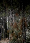 VampireDiariesWorld-dot-org_4x15StandByMe1076.jpg