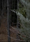 VampireDiariesWorld-dot-org_4x15StandByMe1106.jpg