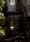 VampireDiariesWorld-dot-org_4x19PicturesOfYou0401.jpg