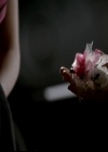 VampireDiariesWorld-dot-org_4x19PicturesOfYou0429.jpg