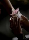 VampireDiariesWorld-dot-org_4x19PicturesOfYou0432.jpg