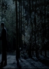 VampireDiariesWorld-dot-org_4x19PicturesOfYou1034.jpg