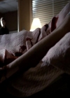 VampireDiariesWorld-dot-org_4x22TheWalkingDead0291.jpg