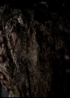 VampireDiariesWorld-dot-org_4x22TheWalkingDead0791.jpg