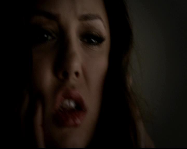 VampireDiariesWorld-dot-org_4x23Graduation2141.jpg