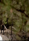 VampireDiariesWorld-dot-org_4x23Graduation1108.jpg