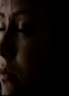 VampireDiariesWorld-dot-org_4x23Graduation2093.jpg