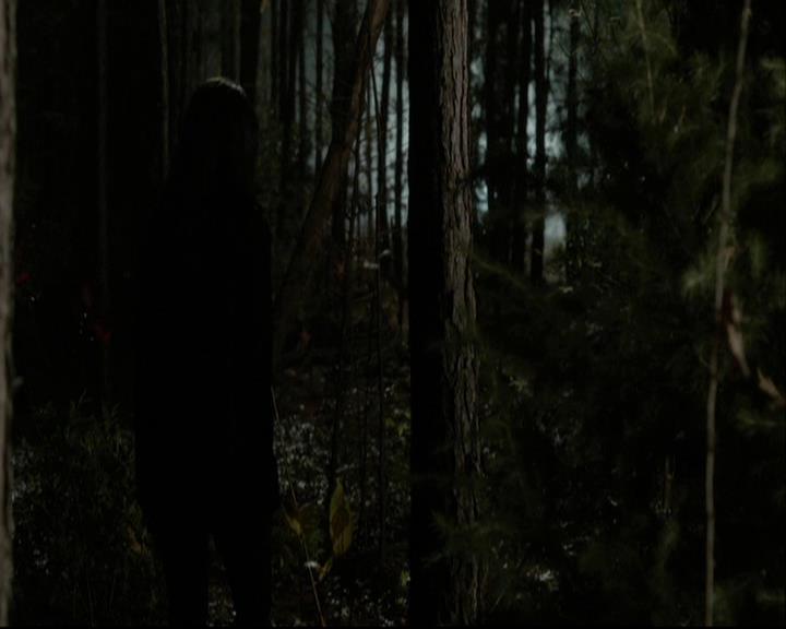 VampireDiariesWorld-dot-org_DeletedScenes-4x13IntoTheWild0117.jpg