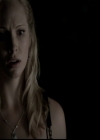 VampireDiariesWorld-dot-org_5x01IKnowWhatYouDidLastSummer1294.jpg