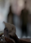 VampireDiariesWorld-dot-org_5x03OriginalSin1016.jpg