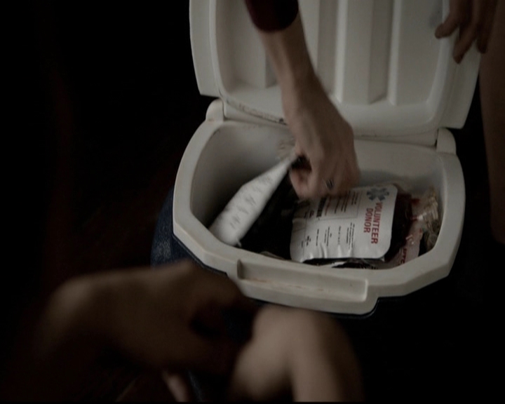 VampireDiariesWorld-dot-org_5x08DeadManOnCampus0662.jpg VampireDiariesWorld-dot-org_5x08DeadManOnCampus0662.jpg