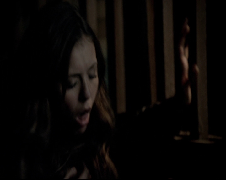 VampireDiariesWorld-dot-org_5x08DeadManOnCampus1635.jpg