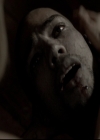 VampireDiariesWorld-dot-org_5x08DeadManOnCampus1786.jpg