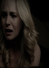 VampireDiariesWorld-dot-org_5x08DeadManOnCampus1791.jpg