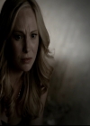 VampireDiariesWorld-dot-org_5x08DeadManOnCampus1799.jpg