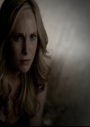 VampireDiariesWorld-dot-org_5x08DeadManOnCampus1806.jpg