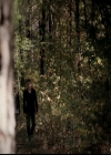 VampireDiariesWorld-dot-org_5x11-500YearsOfSolitude1527.jpg