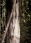 VampireDiariesWorld-dot-org_5x11-500YearsOfSolitude1529.jpg