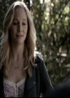 VampireDiariesWorld-dot-org_5x11-500YearsOfSolitude1554.jpg