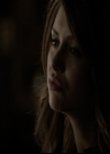 VampireDiariesWorld-dot-org_5x15GoneGirl1774.jpg