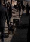 VampireDiariesWorld-dot-org_5x16WhileYouWereSleeping1673.jpg