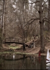 VampireDiariesWorld-dot-org_5x18ResidentEvil0351.jpg