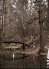 VampireDiariesWorld-dot-org_5x18ResidentEvil0352.jpg