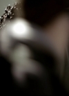 VampireDiariesWorld-dot-org_5x20WhatLiesBeneath0991.jpg