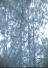 VampireDiariesWorld-dot-org_5x22Home1080.jpg