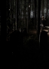 VampireDiariesWorld-dot-org_5x22Home1974.jpg