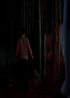 VampireDiariesWorld-dot-nl_7x04ICarryYourHeartWithMe1937.jpg