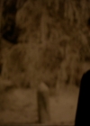 VampireDiariesWorld-dot-nl_7x09ColdAsIs0222.jpg