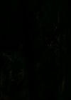 VampireDiariesWorld-dot-nl_7x13ThisWomansWork0739.jpg