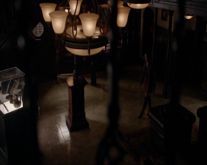 VampireDiariesWorld-dot-nl_7x14MoonlightOnTheBayou1187.jpg