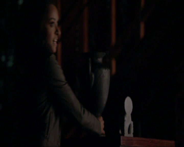 VampireDiariesWorld-dot-nl_7x14MoonlightOnTheBayou1223.jpg