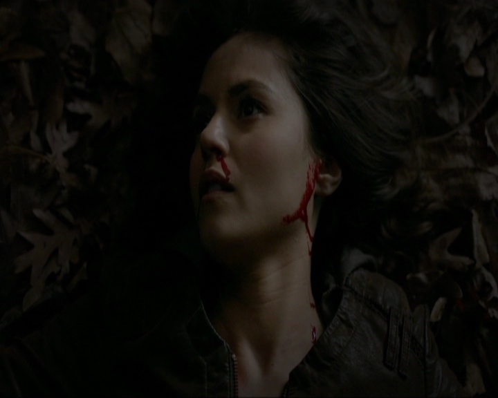 VampireDiariesWorld-dot-nl_7x14MoonlightOnTheBayou1770.jpg