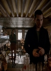 VampireDiariesWorld-dot-nl_7x14MoonlightOnTheBayou0761.jpg