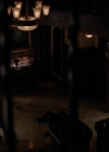 VampireDiariesWorld-dot-nl_7x14MoonlightOnTheBayou1226.jpg