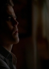 VampireDiariesWorld-dot-nl_7x14MoonlightOnTheBayou1309.jpg