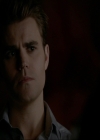 VampireDiariesWorld-dot-nl_7x14MoonlightOnTheBayou1314.jpg