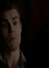 VampireDiariesWorld-dot-nl_7x14MoonlightOnTheBayou1318.jpg