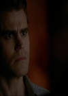 VampireDiariesWorld-dot-nl_7x14MoonlightOnTheBayou1364.jpg